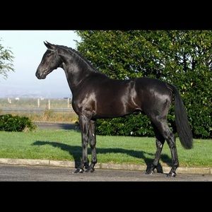 Meet your Posher, Deana